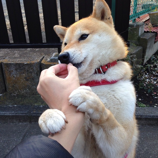 “悬崖边缘:极限赛段的生死攸关”,悬崖边缘效应