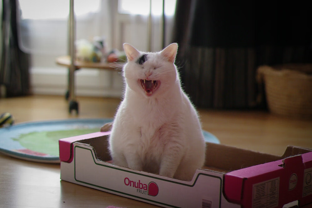 爱游戏娱乐平台-“德甲豪门纷纷发力，追逐联赛冠军”，德甲曾经的豪门