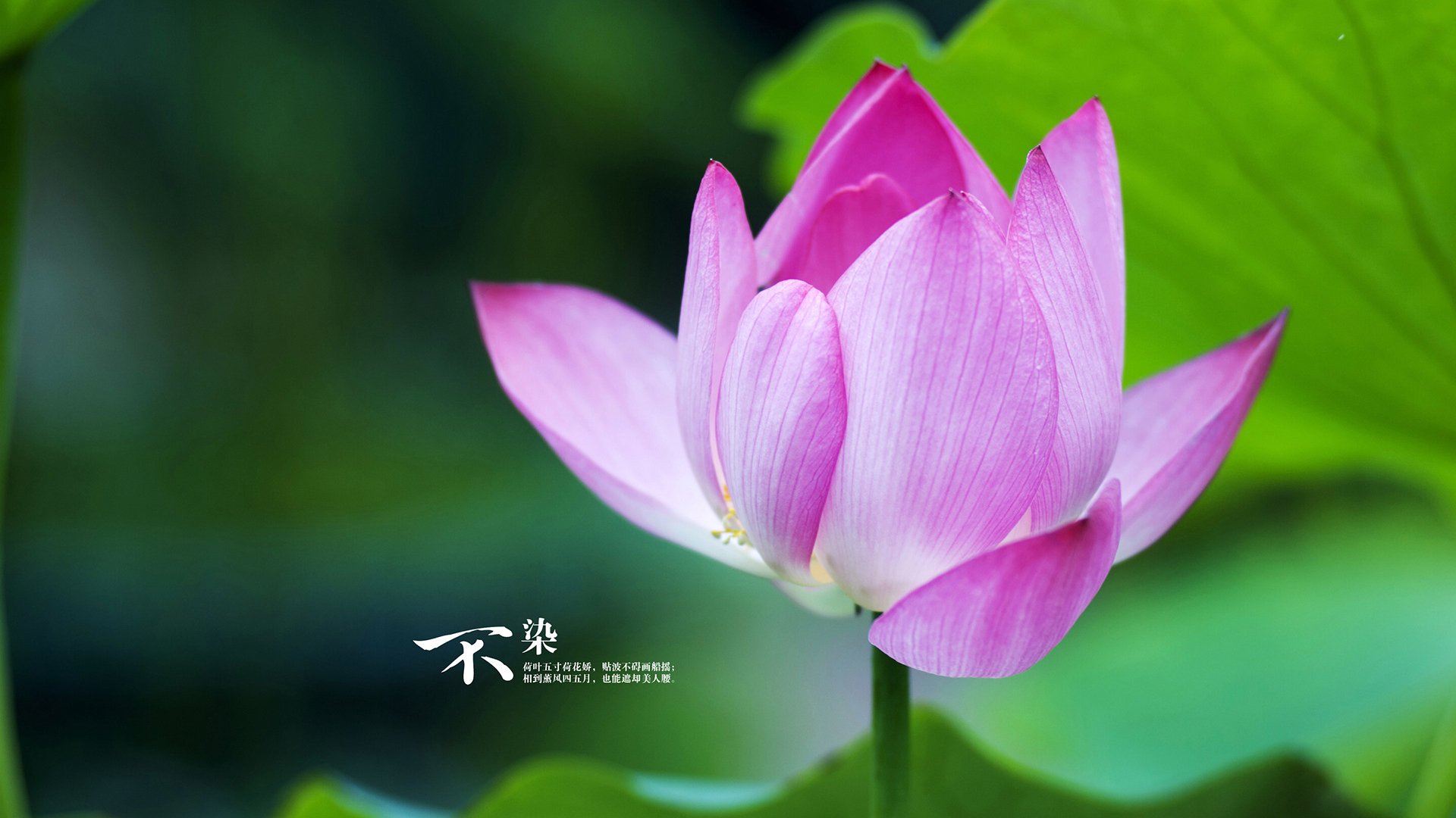 《云比赛兴起:无需硬件即可参加的电竞比赛》,云比赛网公众号