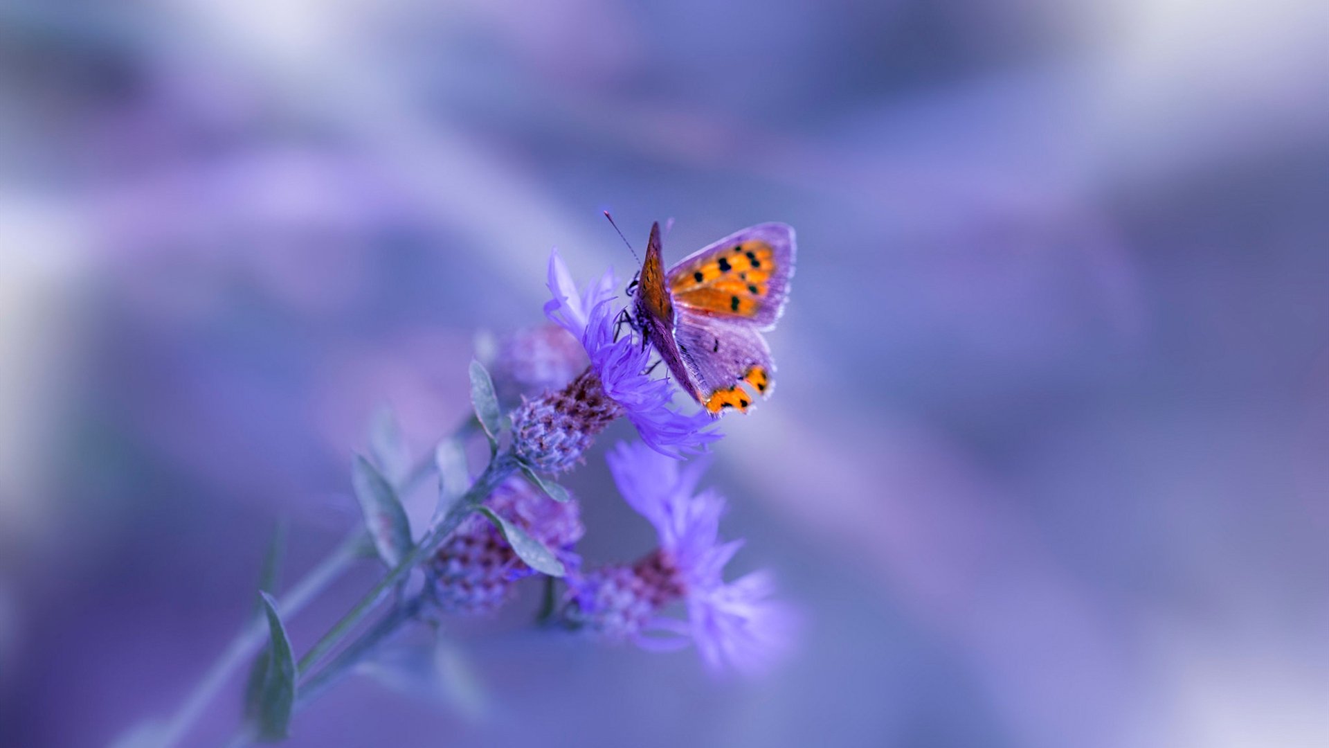 爱游戏中国官方网站平台-《比赛精彩瞬间：回顾年度最佳操作集锦》，竞赛精彩瞬间怎么写