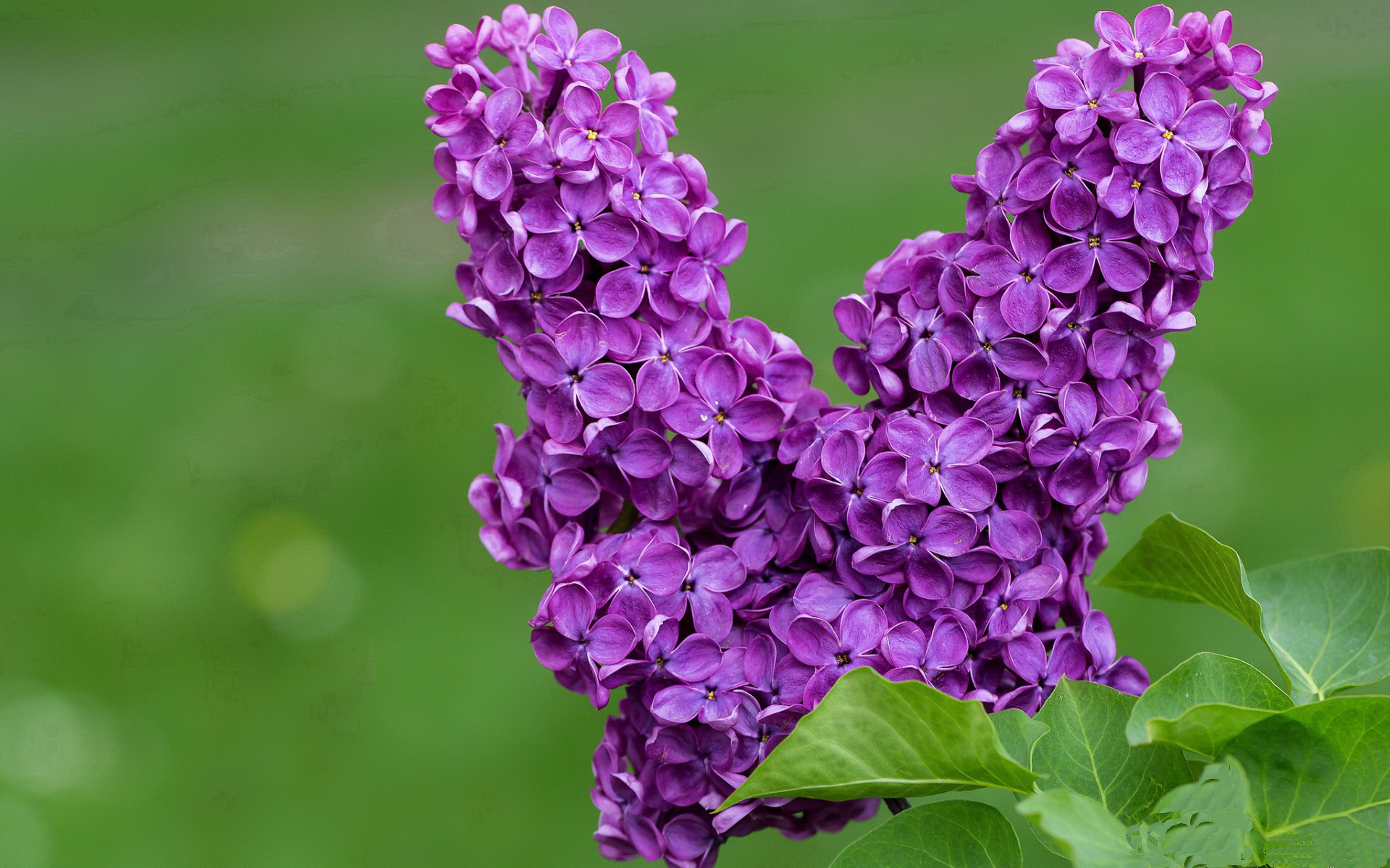 爱游戏在线登录入口-关键比赛：提前预判的潜在黑马，关键比赛的办法