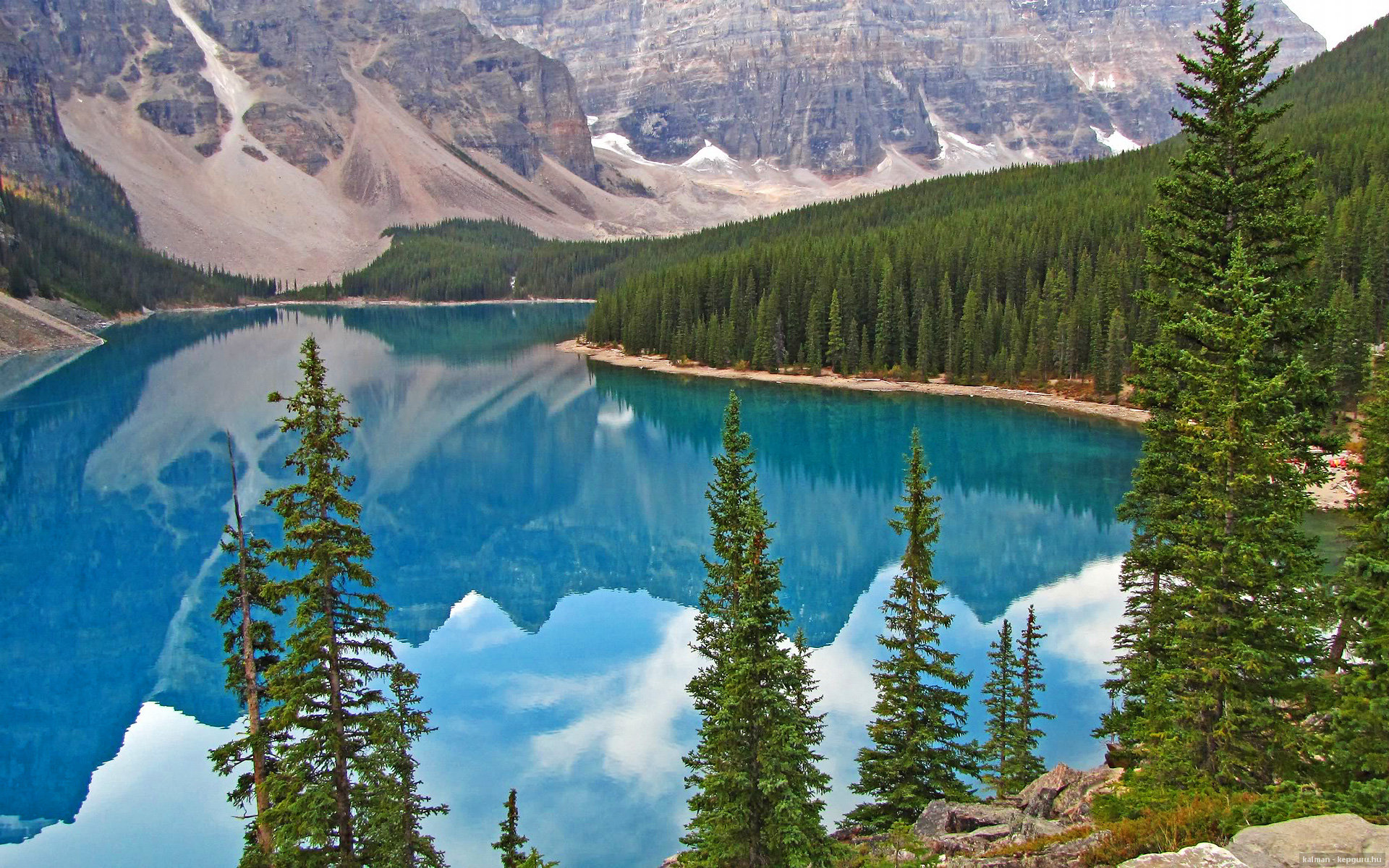 即时战术分析与回放，让比赛更精彩更公平，即时战术战斗