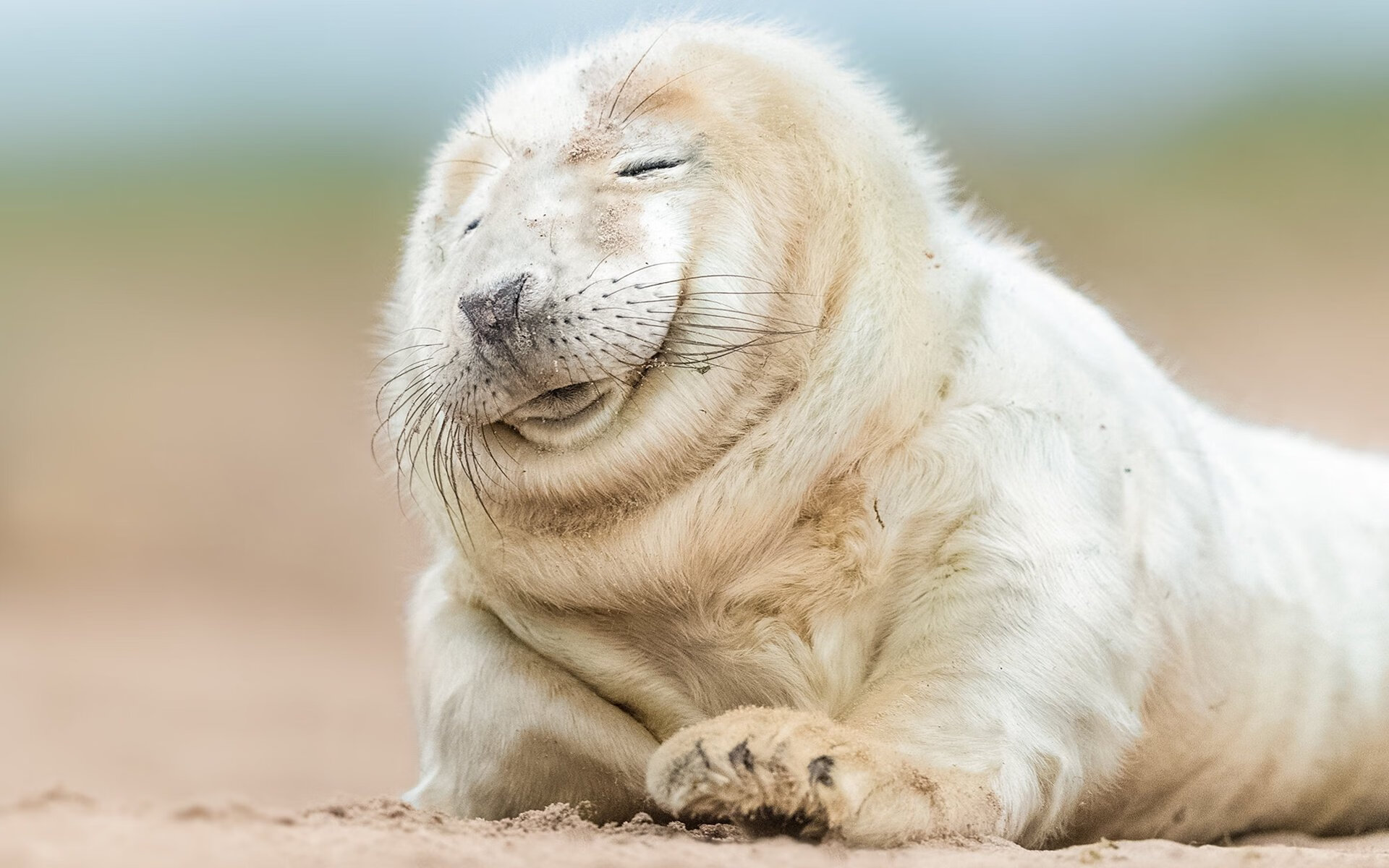 爱游戏中国官方登录入口网站-守望先锋职业联赛季后赛即将开启，全明星战队强势来袭，守望先锋联赛2021人员变动