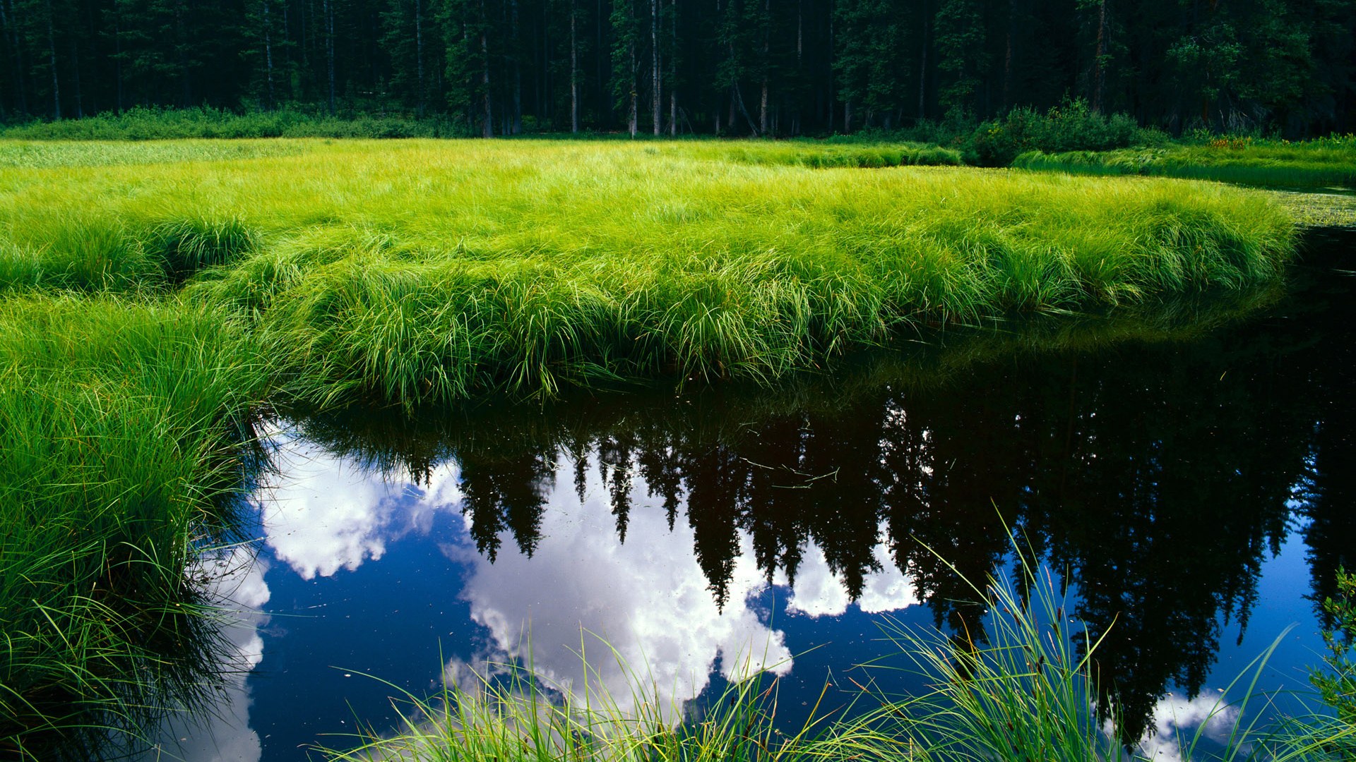 爱游戏体育APP下载-车队幕后英雄：工程师的贡献不可忽视，工程车队名字大全