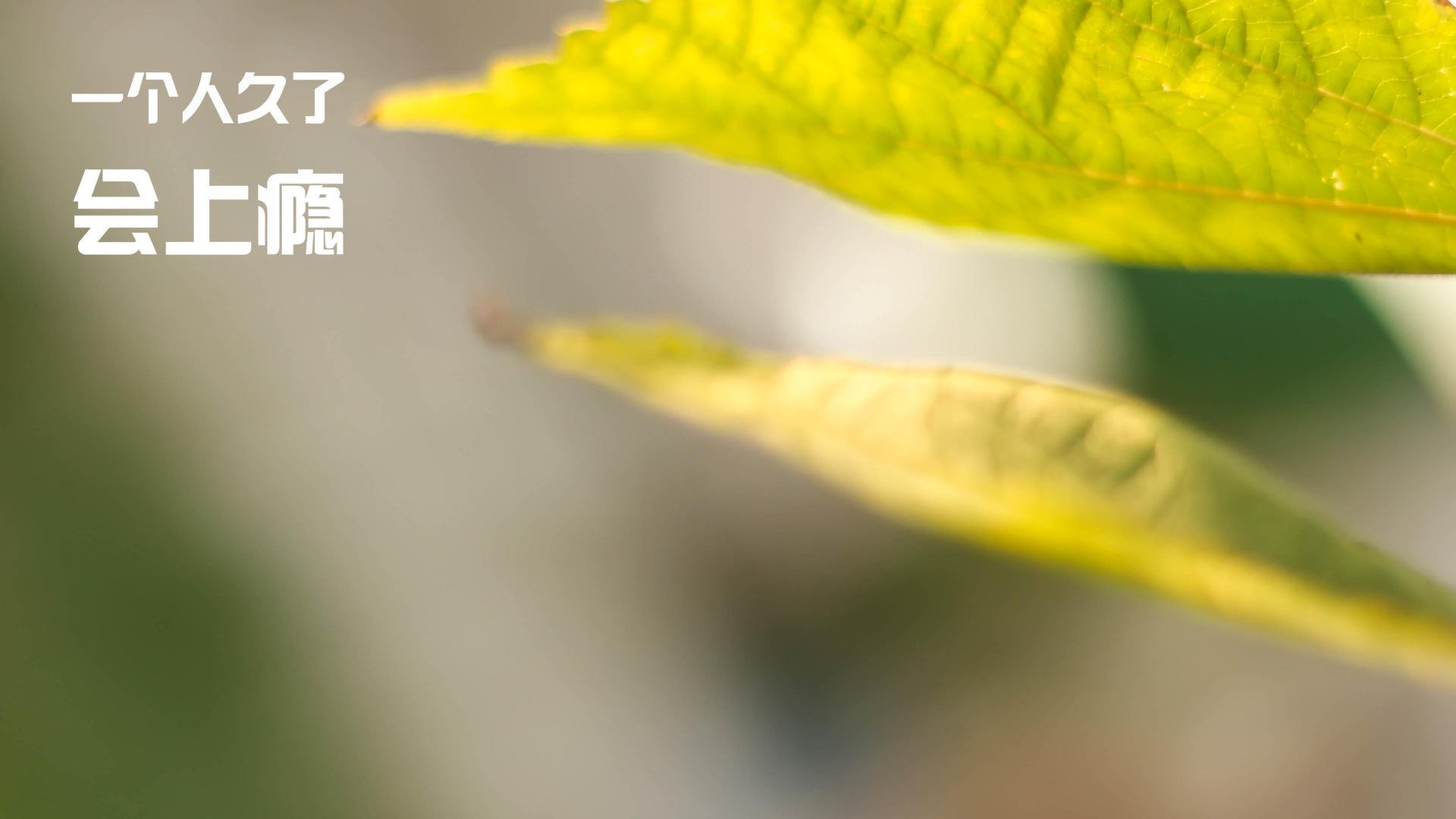 爱游戏体育（AYX）官方APP下载-利物浦连扳三球，完胜尤文图斯！，利物浦连扳三球,完胜尤文图斯了吗