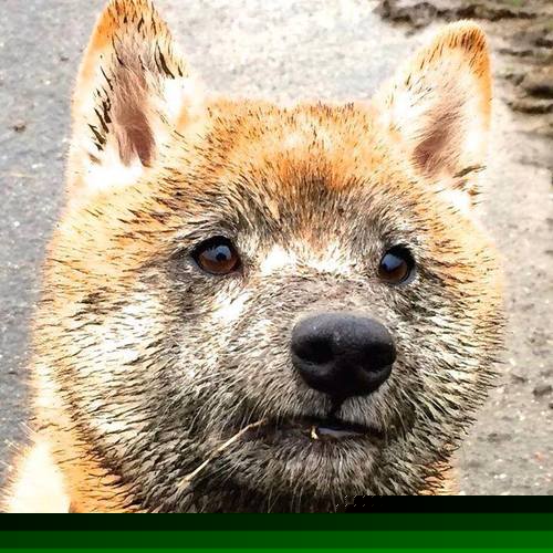 AYX官网-国际比赛中的惊喜连连，球员们展现出色技巧，国际比赛中的惊喜连连,球员们展现出色技巧是什么