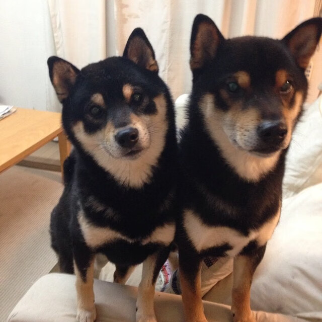 AYX体育官网-大连人马威风长驻，击败亚洲强队，大连人俱乐部官方网站