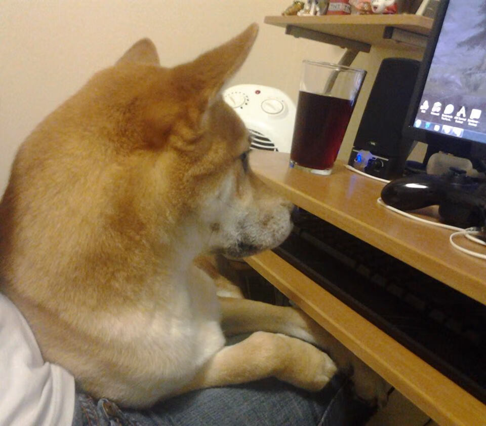 爱游戏app下载-年轻主帅是否正成为联赛创新核心动力，足球史上最年轻主教练