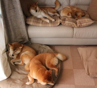 爱游戏体育平台-德累斯顿矿工雄心勃勃，决心赢得久远荣耀，德累斯顿介绍