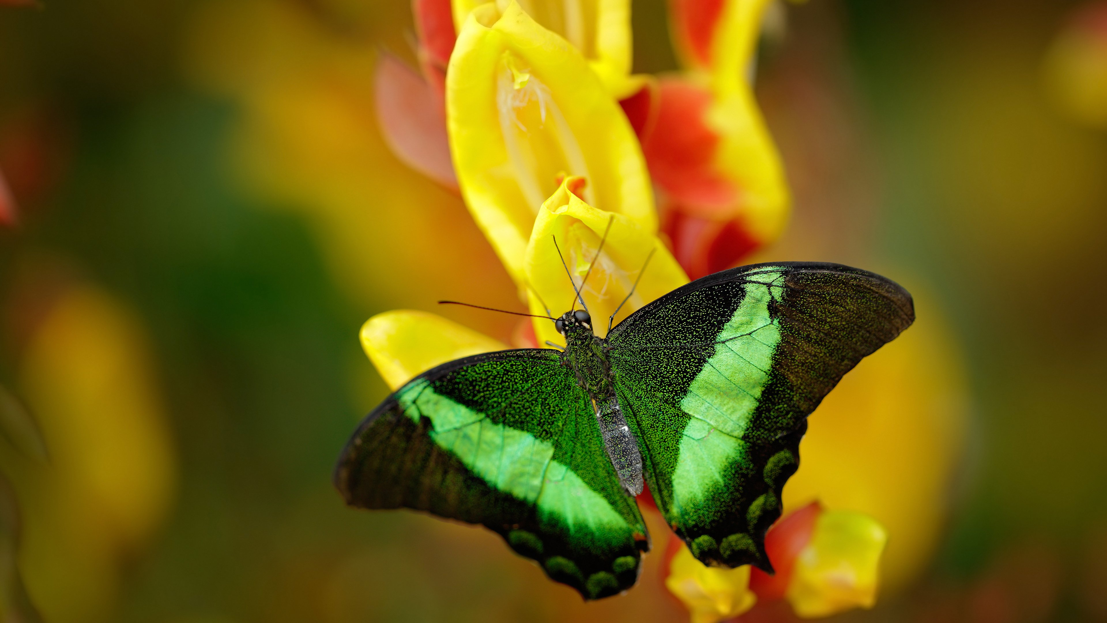 爱游戏平台-电竞职业选手训练数据监控与科学分析方法研究，电竞职业选手训练 知乎