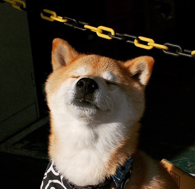 爱游戏娱乐平台-萨索洛后卫遭受伤病困扰，球队防线岌岌可危，萨索洛阵型