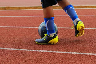 AYX GAMING-NBA球员训练营最新发展动态，nba球员日常训练项目