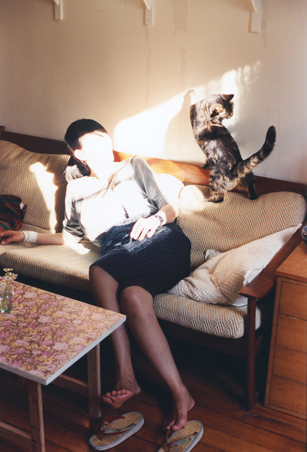 凯尔特人锋线双星在训练中配合日渐默契，凯尔特人2.26中锋