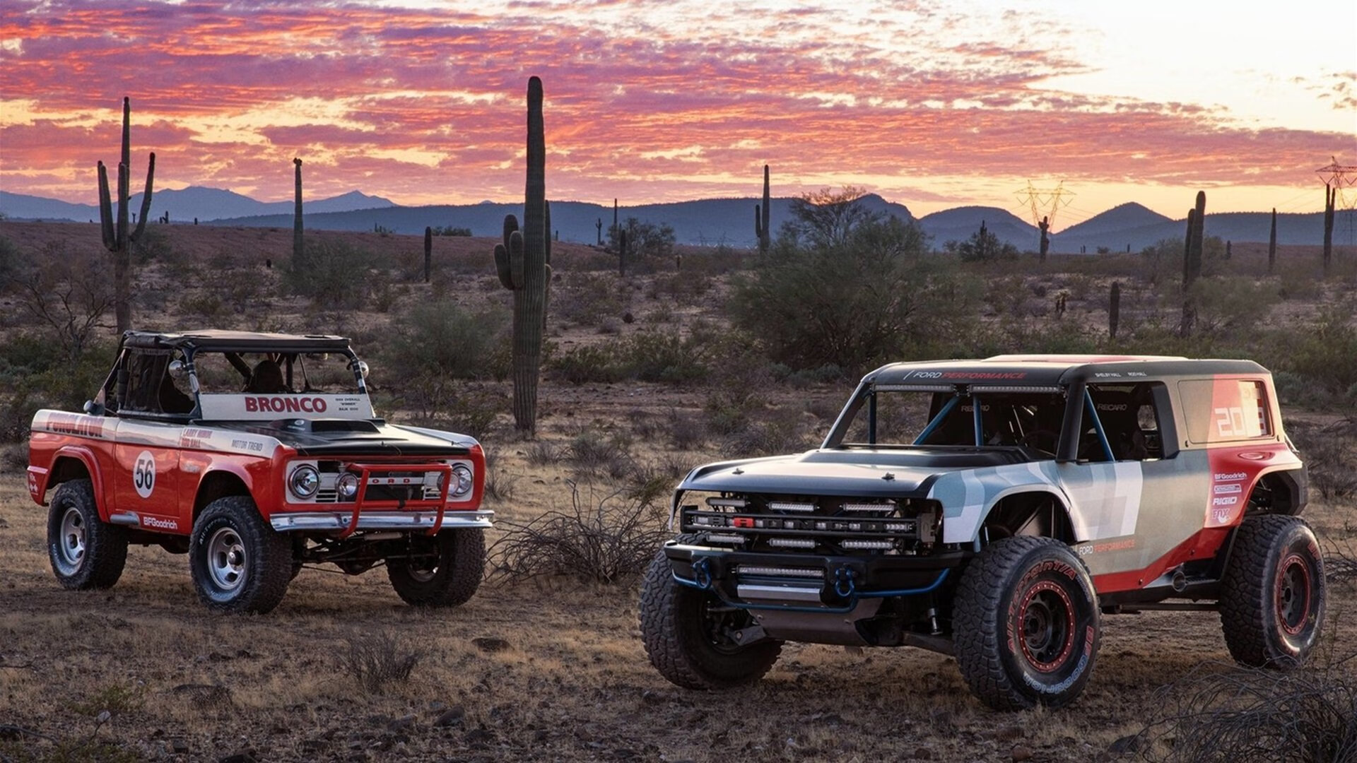 蛙泳赛南非选手发挥稳定,南非蛙泳名将女子