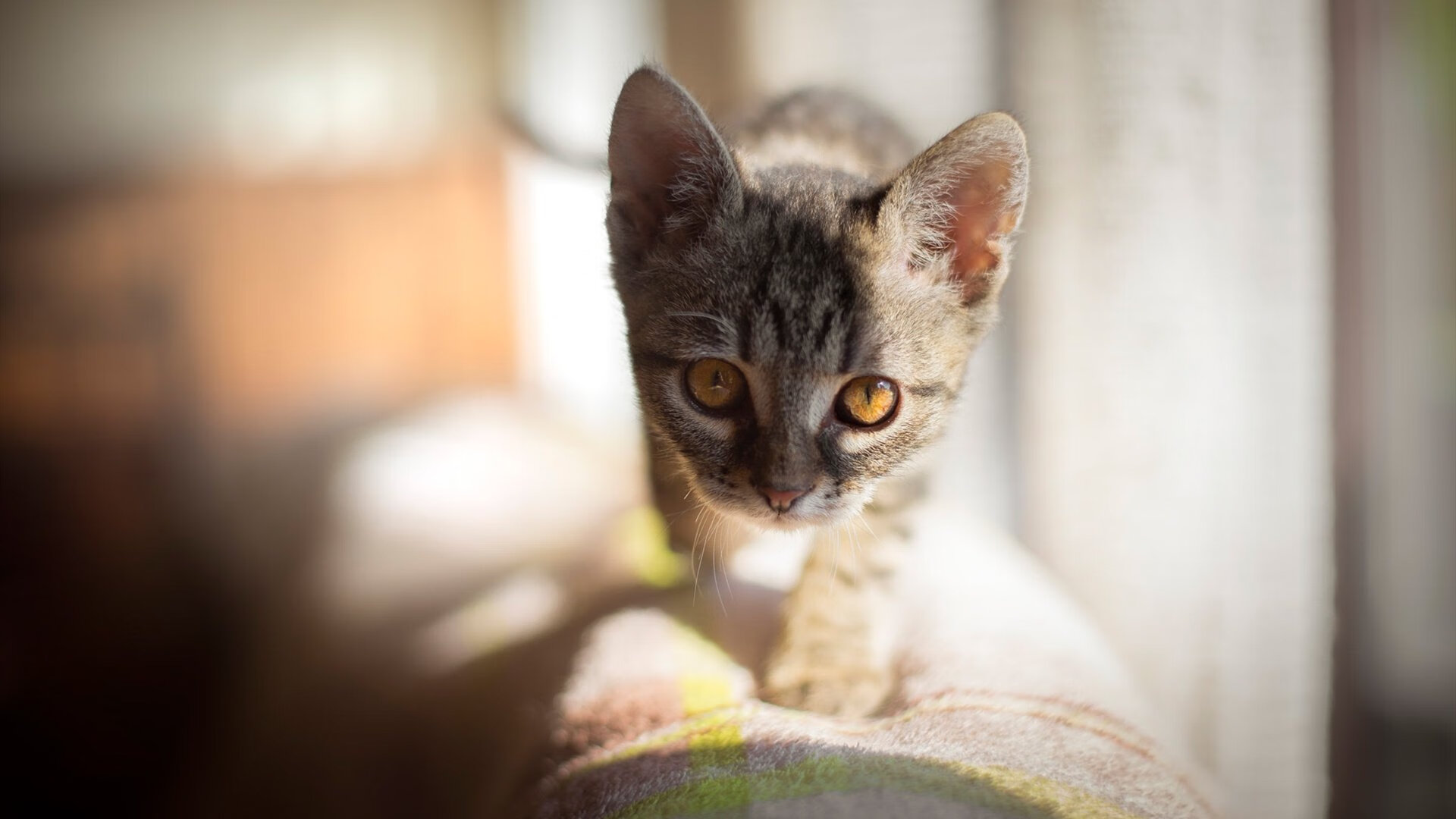 西甲攻防豪门:精彩瞬间不断崛起!,西甲豪门球队排名