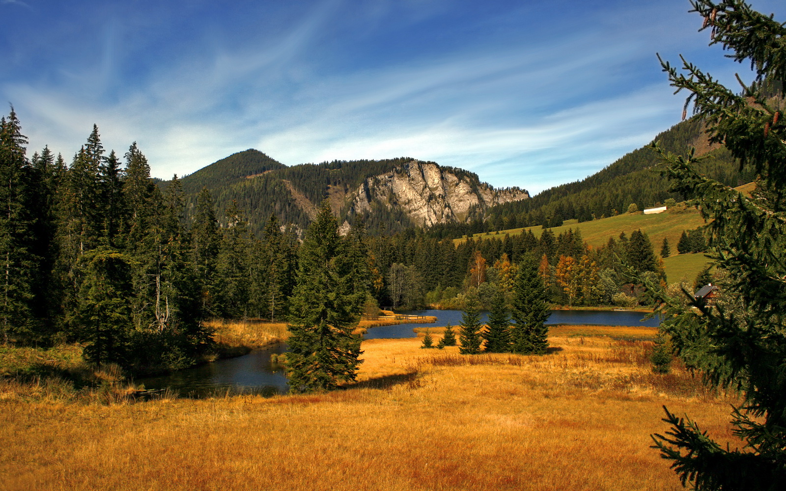 阿莱克西蝶泳发力阶段完美控制,阿莱克西亚·阿西福特